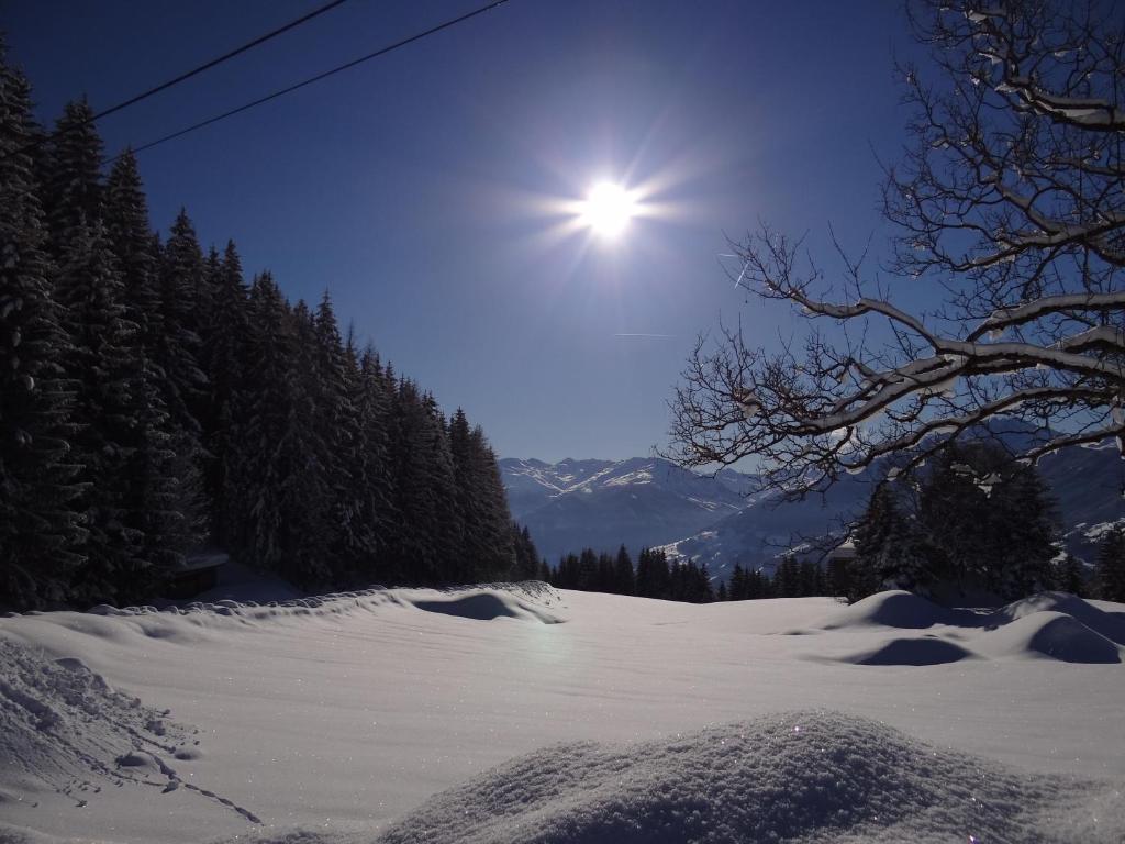 Das Sonnleiten Ski- Und Motorradhotel Bruck Im Zillertal Bruck am Ziller 外观 照片
